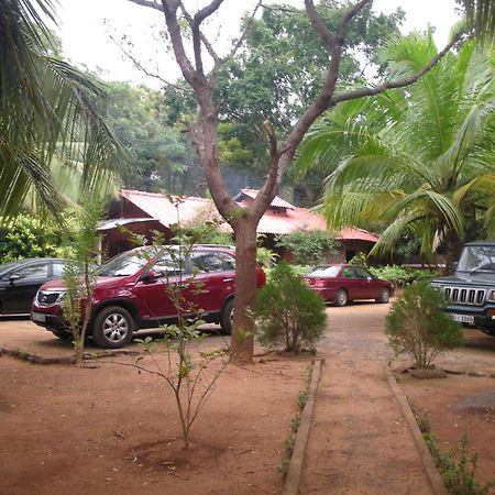 Heina Nature Resort - Eco Home And Yala Safari Катарагама Екстериор снимка