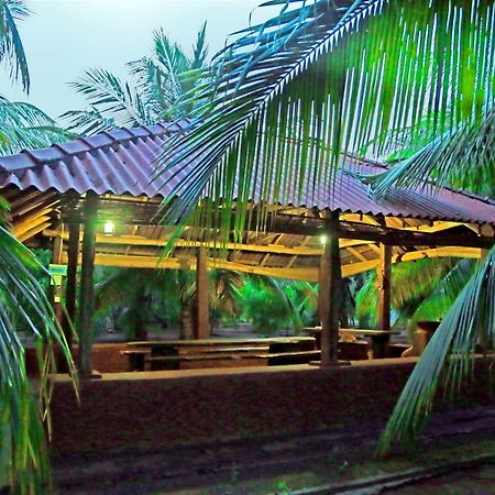 Heina Nature Resort - Eco Home And Yala Safari Катарагама Екстериор снимка