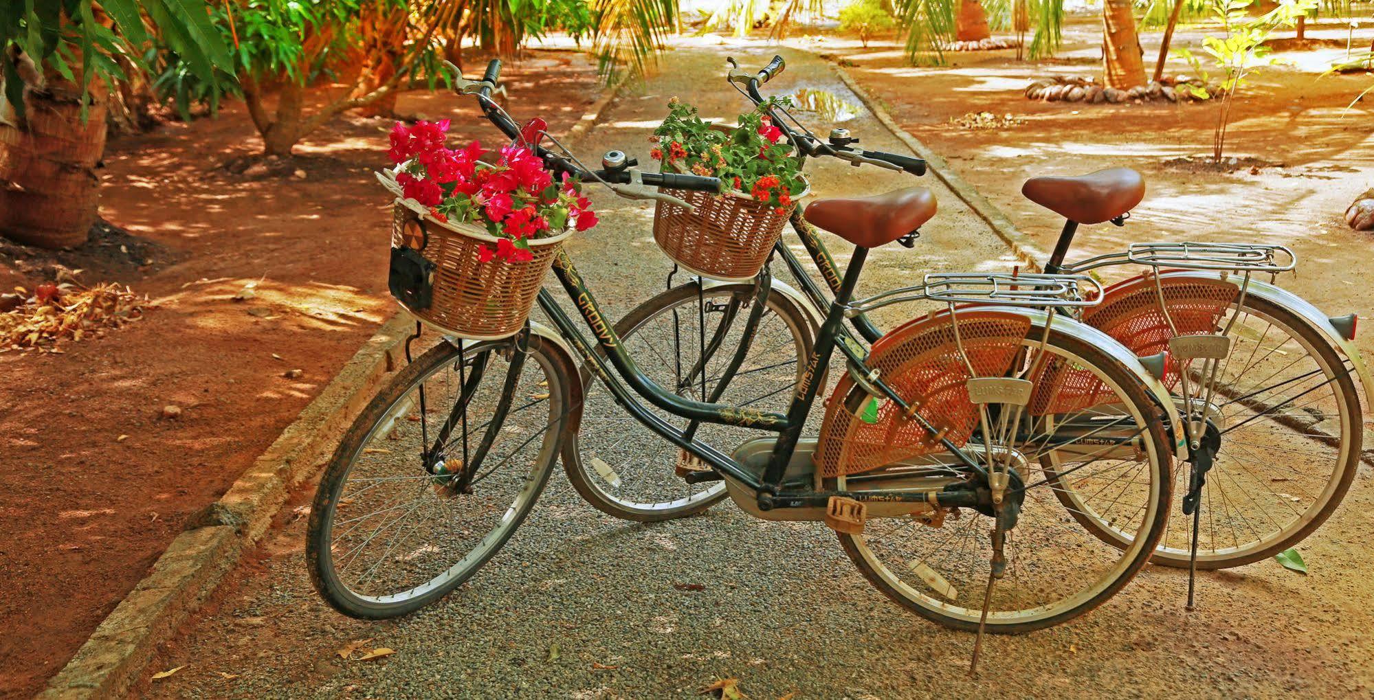 Heina Nature Resort - Eco Home And Yala Safari Катарагама Екстериор снимка